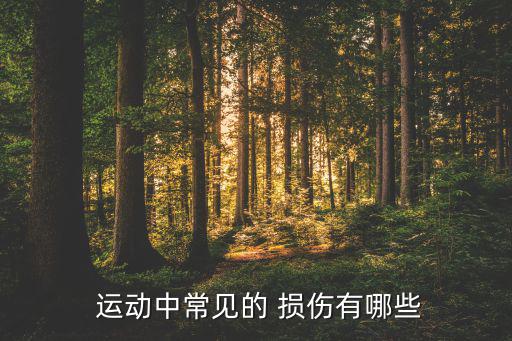  運(yùn)動(dòng)中常見的 損傷有哪些