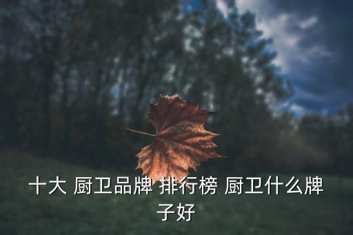 十大 廚衛(wèi)品牌 排行榜 廚衛(wèi)什么牌子好