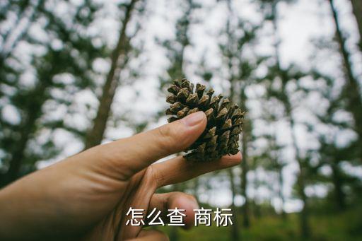 商標(biāo)圖形怎么查,如何查詢商標(biāo)模式近似值?