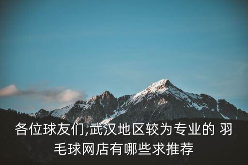 各位球友們,武漢地區(qū)較為專業(yè)的 羽毛球網(wǎng)店有哪些求推薦