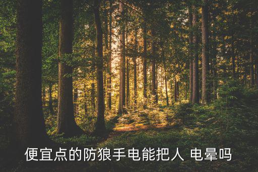 便宜點(diǎn)的防狼手電能把人 電暈嗎