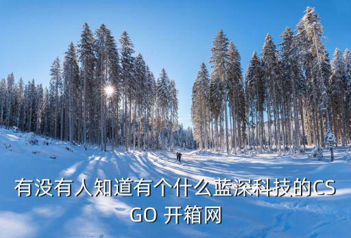 有沒有人知道有個(gè)什么藍(lán)深科技的CSGO 開箱網(wǎng)