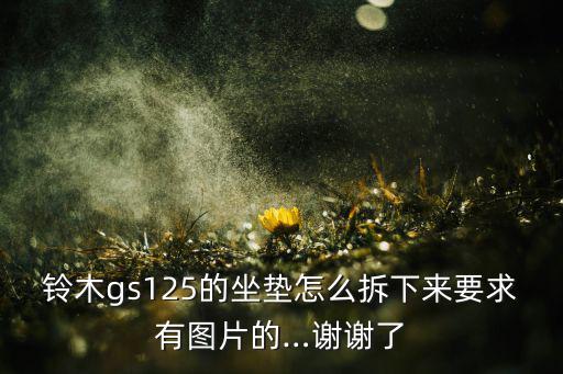 鈴木gs125的坐墊怎么拆下來要求有圖片的…謝謝了