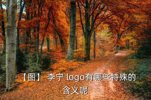 【圖】 李寧 logo有哪些特殊的含義呢