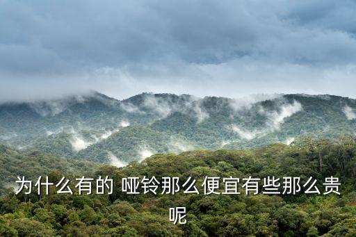 純鋼啞鈴,電鍍啞鈴和不銹鋼啞鈴的區(qū)別