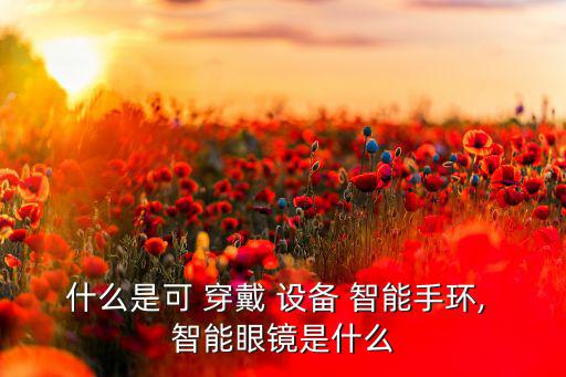 什么是可 穿戴 設(shè)備 智能手環(huán), 智能眼鏡是什么