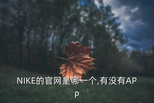 NIKE的官網(wǎng)是哪一個,有沒有APP