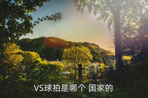 VS球拍是哪個(gè) 國(guó)家的