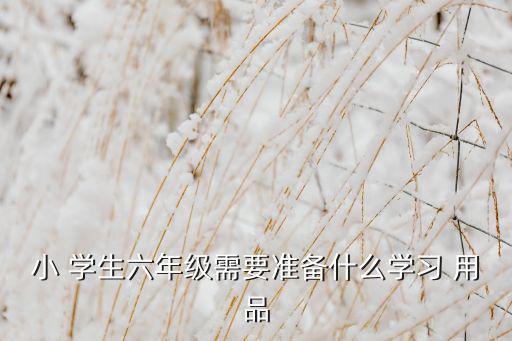 小 學(xué)生六年級(jí)需要準(zhǔn)備什么學(xué)習(xí) 用品