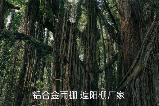 折疊遮陽(yáng)棚圖片大全,如何安裝四腳折疊遮陽(yáng)傘?