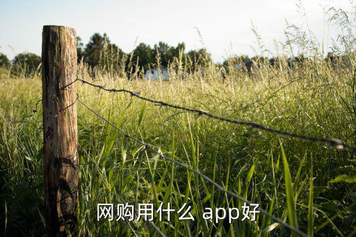 網(wǎng)購用什么 app好