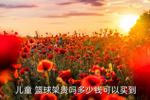  兒童 籃球架貴嗎多少錢(qián)可以買(mǎi)到