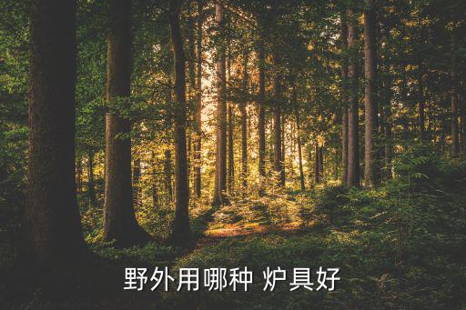 戶外小型爐具,戶外探險新常態(tài)燃油供應(yīng)有限