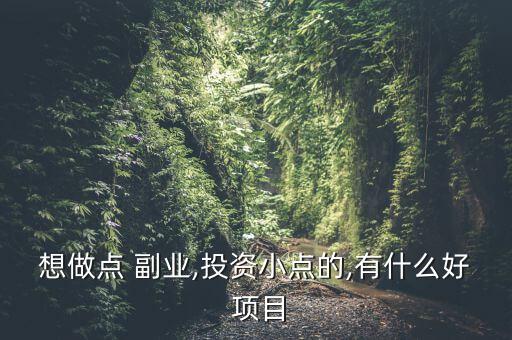 想做點(diǎn) 副業(yè),投資小點(diǎn)的,有什么好 項(xiàng)目