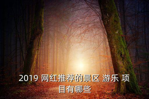 2019 網(wǎng)紅推薦的景區(qū) 游樂 項(xiàng)目有哪些