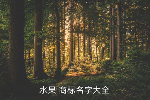 免費(fèi)商標(biāo)起名網(wǎng)站大全,商標(biāo)注冊申請流程: