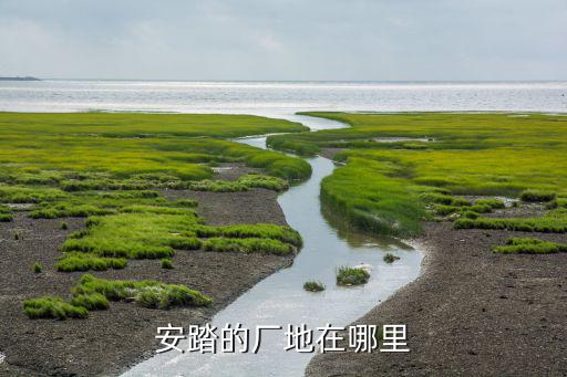 濟(jì)寧體育用品加工廠在哪里,安踏鞋子早期都是在這里生產(chǎn)