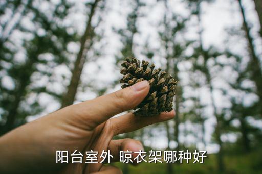 陽(yáng)臺(tái)室外 晾衣架哪種好