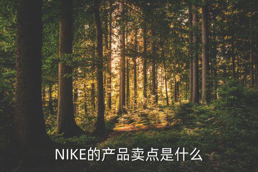 NIKE的產(chǎn)品賣點(diǎn)是什么