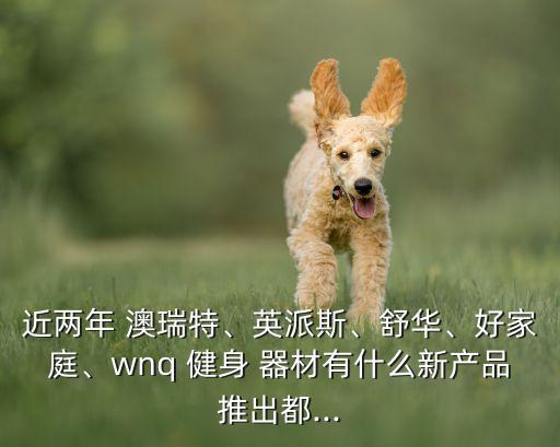 近兩年 澳瑞特、英派斯、舒華、好家庭、wnq 健身 器材有什么新產(chǎn)品推出都...