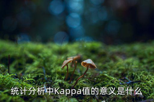 統(tǒng)計(jì)分析中Kappa值的意義是什么