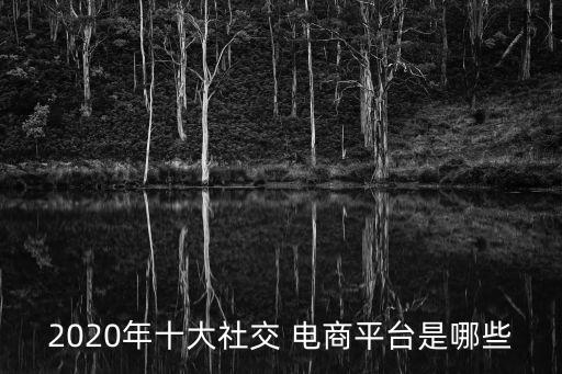 2020年十大社交 電商平臺是哪些