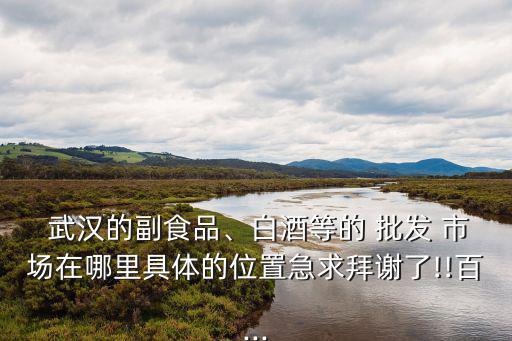 武漢批發(fā)市場,武漢建材市場有哪些建材商場?