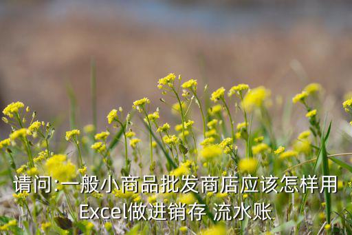 請(qǐng)問(wèn):一般小商品批發(fā)商店應(yīng)該怎樣用Excel做進(jìn)銷存 流水賬