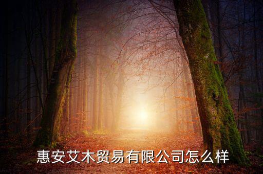  惠安艾木貿(mào)易有限公司怎么樣