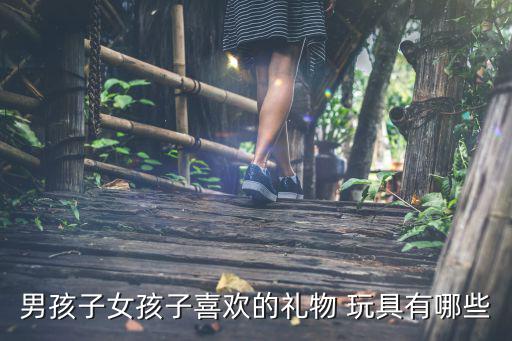 男孩子女孩子喜歡的禮物 玩具有哪些