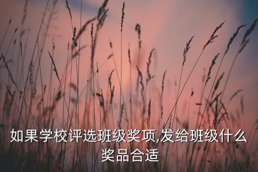 如果學(xué)校評(píng)選班級(jí)獎(jiǎng)項(xiàng),發(fā)給班級(jí)什么 獎(jiǎng)品合適