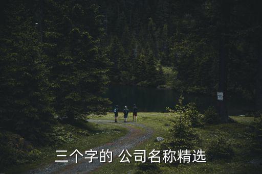 三個(gè)字的 公司名稱精選