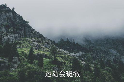  運(yùn)動(dòng)會(huì)班徽