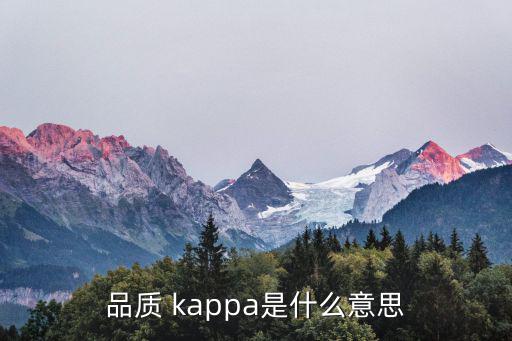 品質(zhì) kappa是什么意思