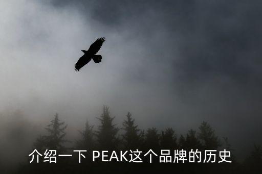 介紹一下 PEAK這個(gè)品牌的歷史