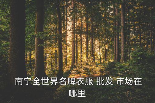  南寧全世界名牌衣服 批發(fā) 市場(chǎng)在哪里