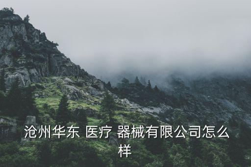  滄州華東 醫(yī)療 器械有限公司怎么樣