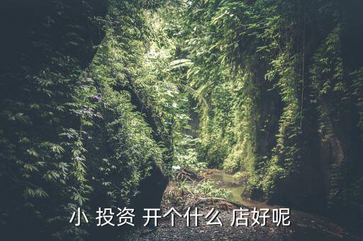 小 投資 開個(gè)什么 店好呢