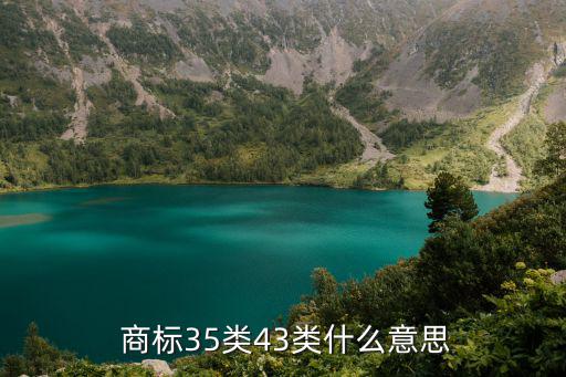  商標(biāo)35類43類什么意思