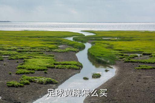 太康縣體育用品哪里買(mǎi),體育用品商店出售踢腿骨的塑料袋