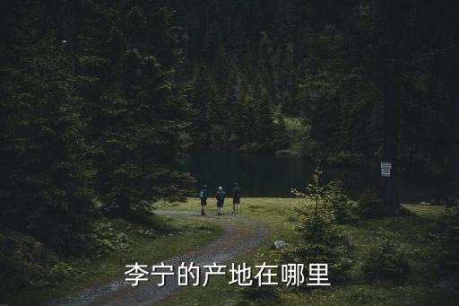 李寧的產(chǎn)地在哪里