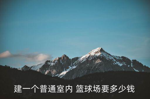 建一個(gè)普通室內(nèi) 籃球場(chǎng)要多少錢