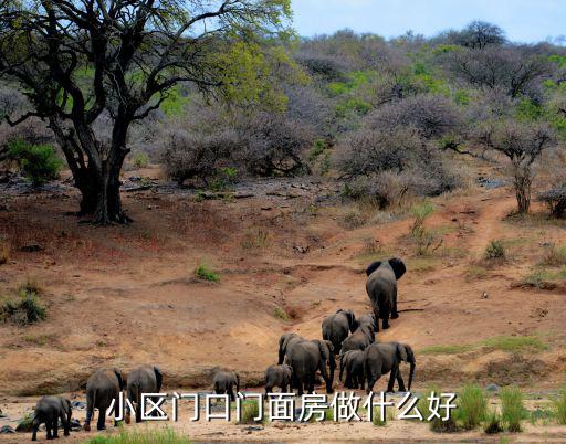 小區(qū)門口門面房做什么好