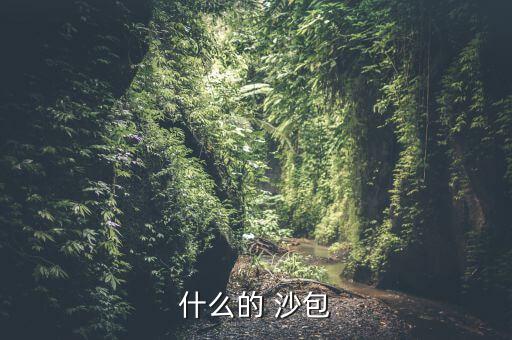 什么的 沙包