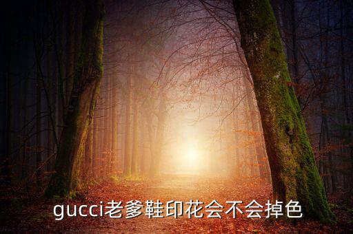  gucci老爹鞋印花會不會掉色