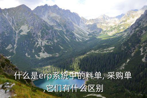 什么是erp系統(tǒng)中的料單, 采購單,它們有什么區(qū)別