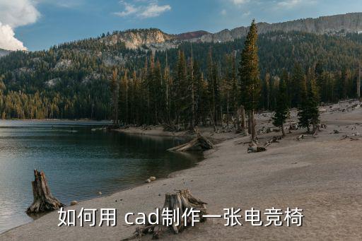 如何用 cad制作一張電競(jìng)椅