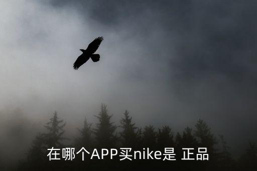 在哪個APP買nike是 正品