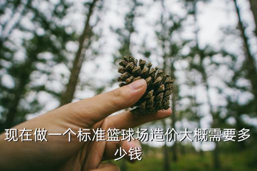 現(xiàn)在做一個(gè)標(biāo)準(zhǔn)籃球場(chǎng)造價(jià)大概需要多少錢