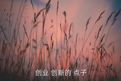  創(chuàng)業(yè) 創(chuàng)新的 點(diǎn)子